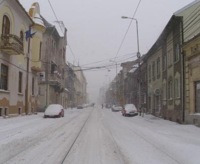 Zăpada a acoperit Oradea. Echipajele RER acţionează pentru curăţarea drumurilor (FOTO)